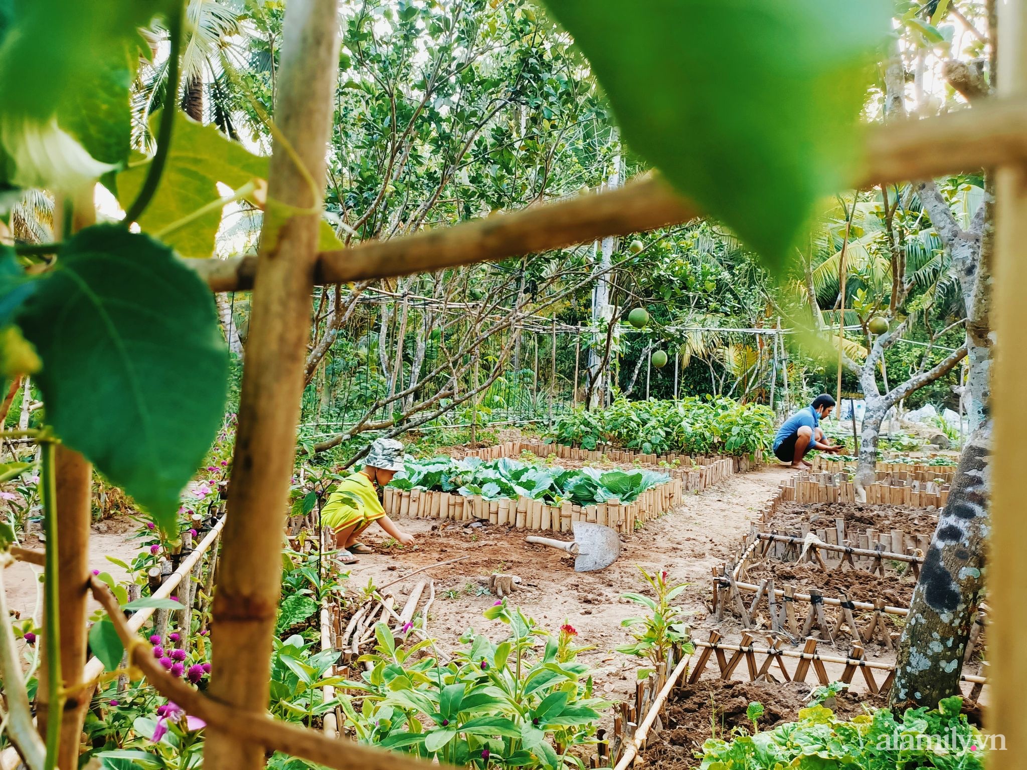 Cuộc sống bình dị vui thú điền viên của cặp vợ chồng trẻ ở huyện Giồng Trôm, Bến Tre - Ảnh 11.