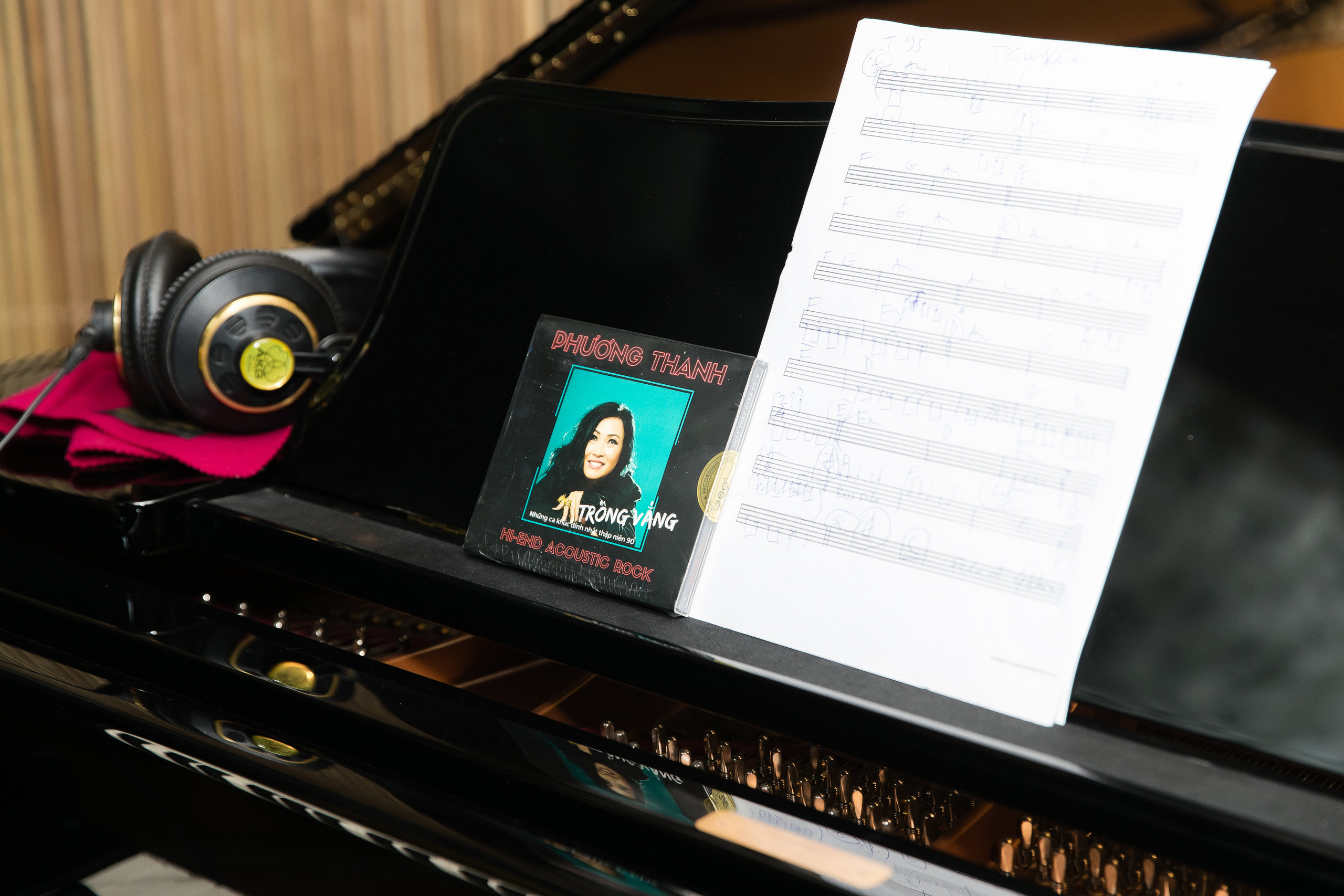 Ra album 7 triệu đồng, Phương Thanh khẳng định: Thực lực mới đi được đường dài, chia nghệ sĩ làm 3 cấp giá trị không thể ngang hàng - Ảnh 1. Ra album 7 triệu đồng, Phương Thanh khẳng định: Thực lực mới đi được đường dài, chia nghệ sĩ làm 3 cấp giá trị không thể ngang hàng - Ảnh 1.