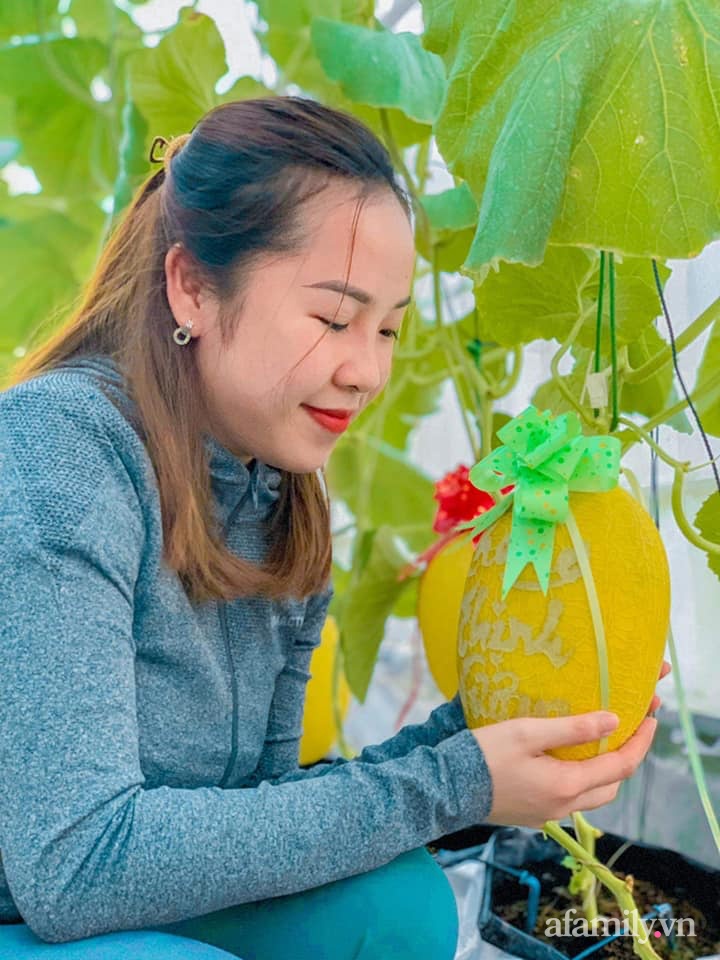 Người phụ nữ Kiên Giang đầu tư 10 triệu đồng thiết kế nhà màng trồng dưa lưới vì đam mê - Ảnh 3.