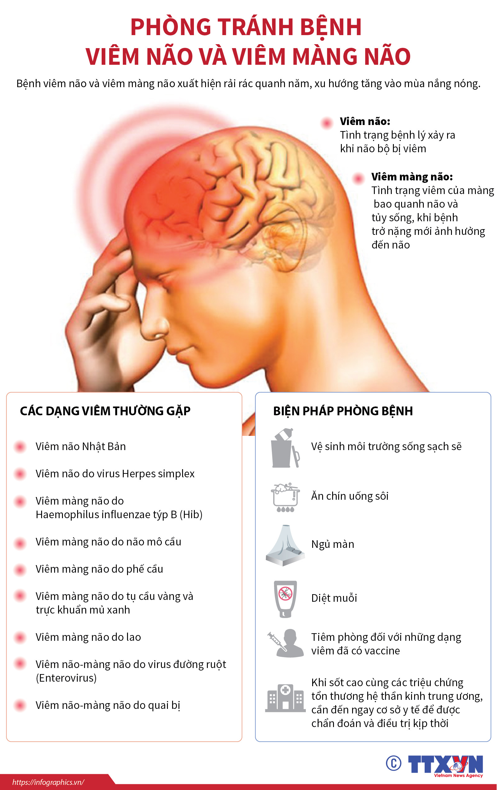 6 biện pháp cần làm ngay để phòng viêm não virus trong mùa hè - Ảnh 1.