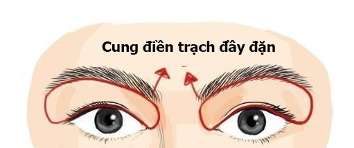Đây là gương mặt của người giàu và người bình thường có thể phát tài trong 10 năm tới nếu sở hữu 1 trong số đặc điểm này - Ảnh 1. Đây là gương mặt của người giàu và người bình thường có thể phát tài trong 10 năm tới nếu sở hữu 1 trong số đặc điểm này - Ảnh 1.