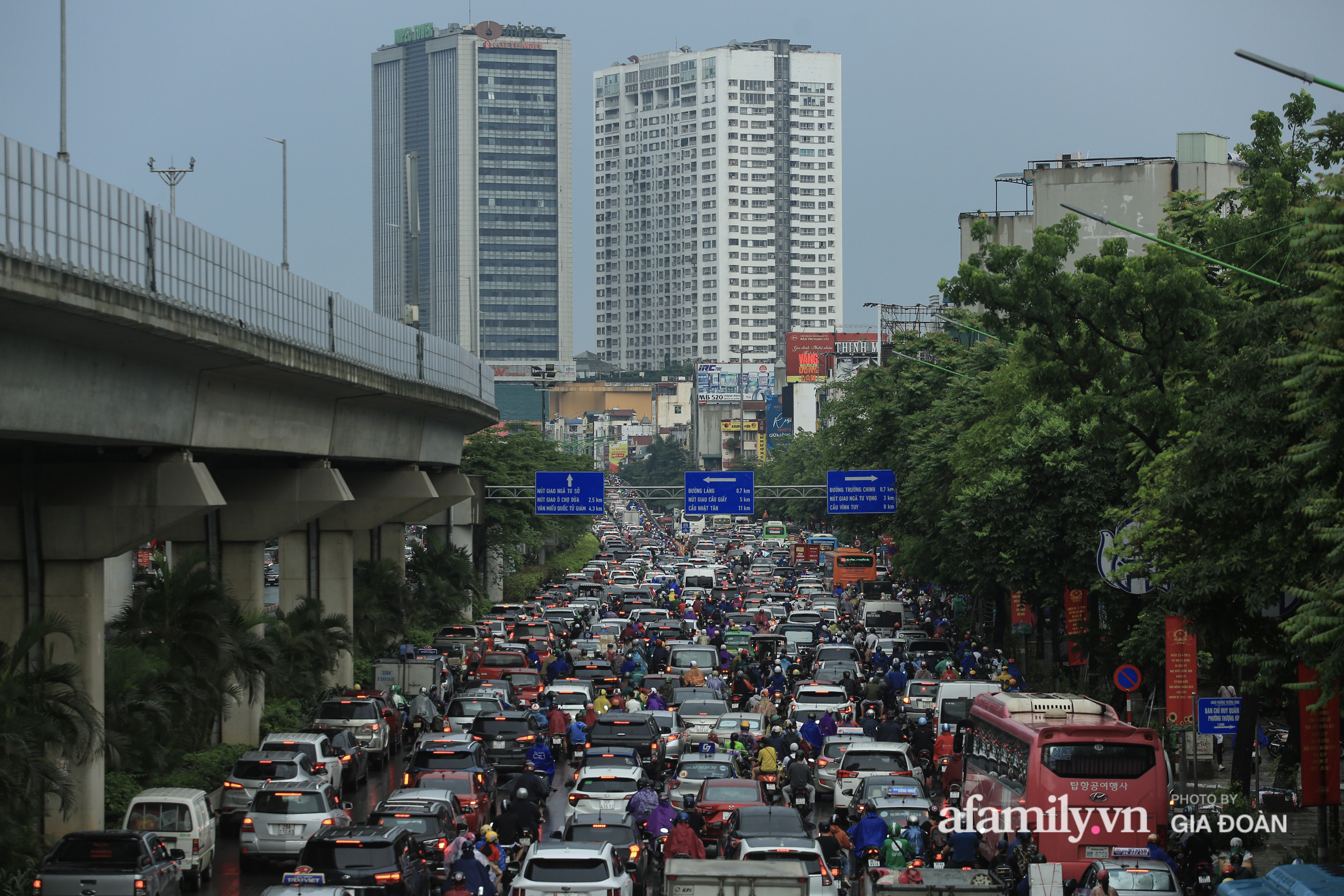 Hà Nội: Cây đổ trên phố Chùa Bộc sau trận mưa lớn - Ảnh 1.