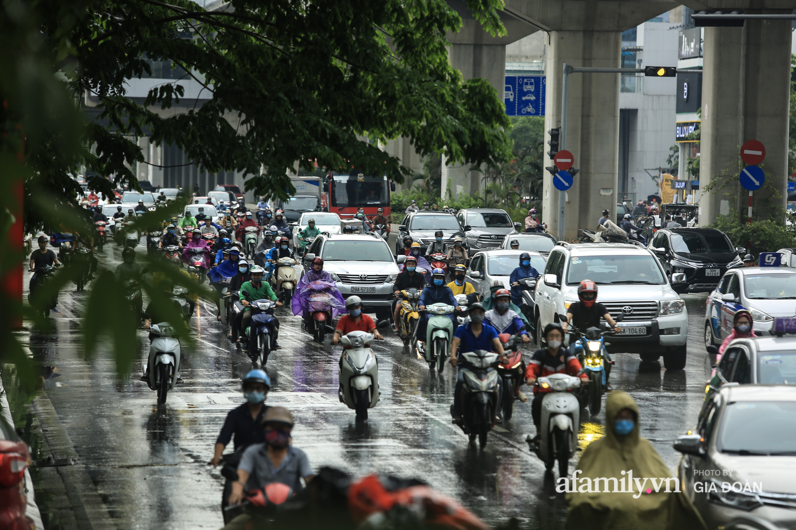 Hà Nội: Cây đổ trên phố Chùa Bộc sau trận mưa lớn - Ảnh 3.