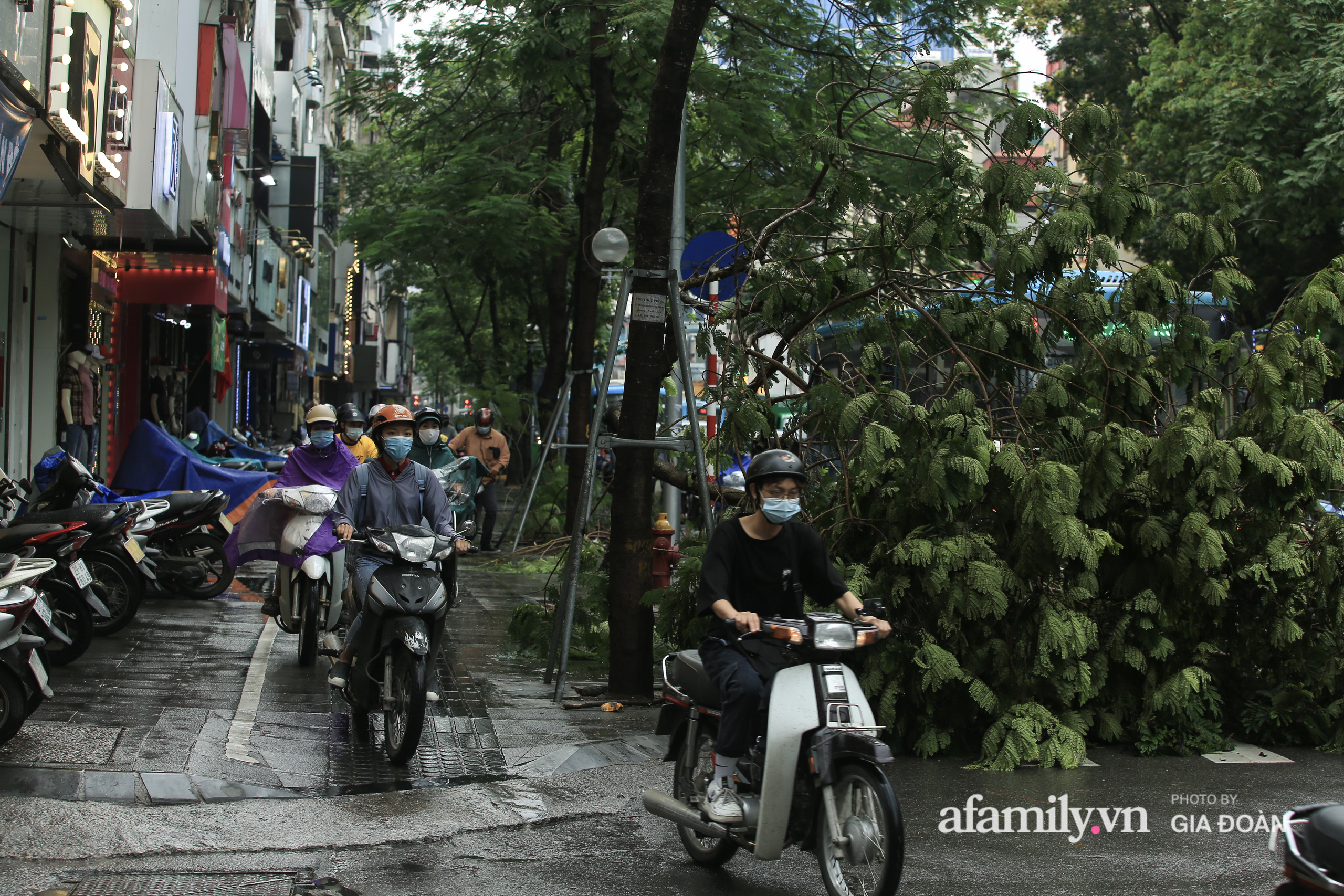 Hà Nội: Cây đổ trên phố Chùa Bộc sau trận mưa lớn - Ảnh 8.