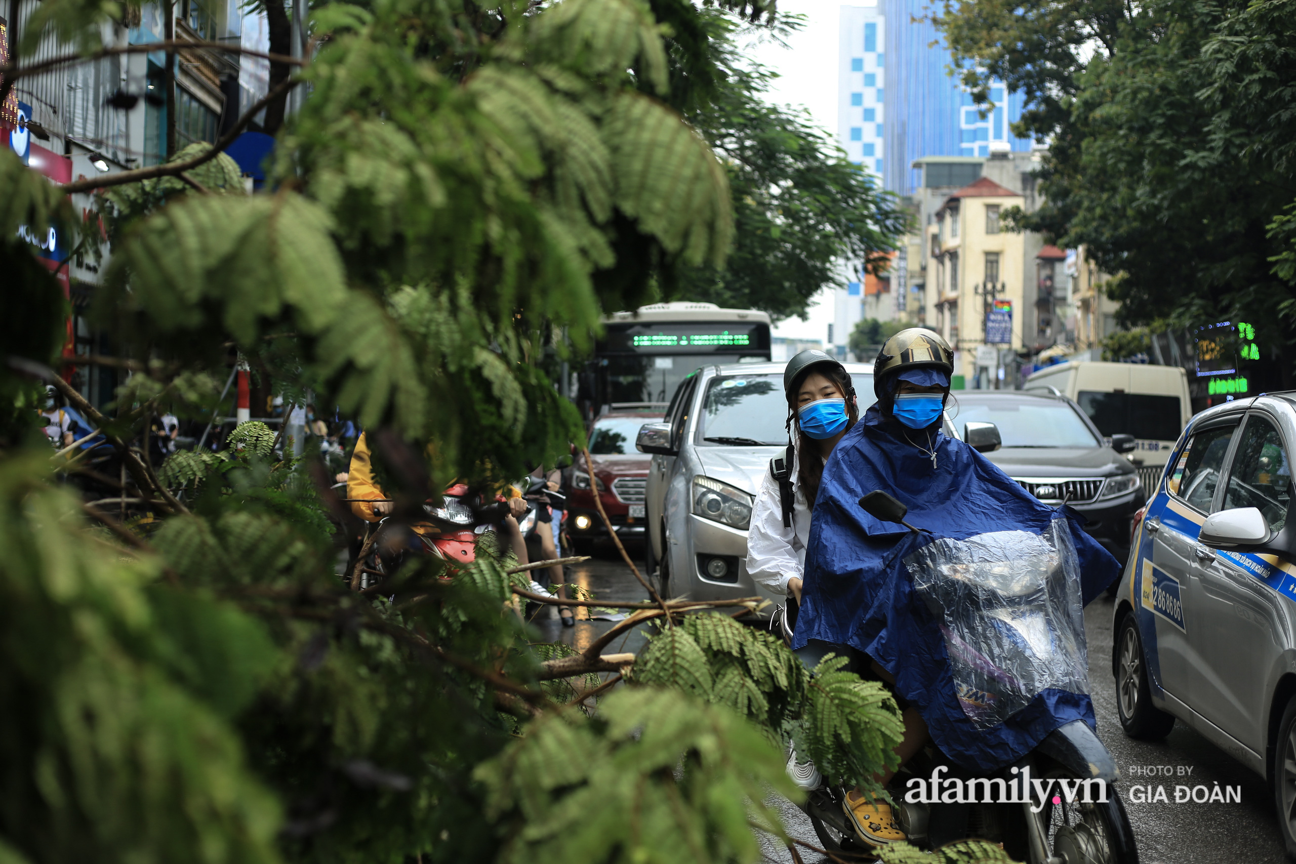 Hà Nội: Cây đổ trên phố Chùa Bộc sau trận mưa lớn - Ảnh 12.