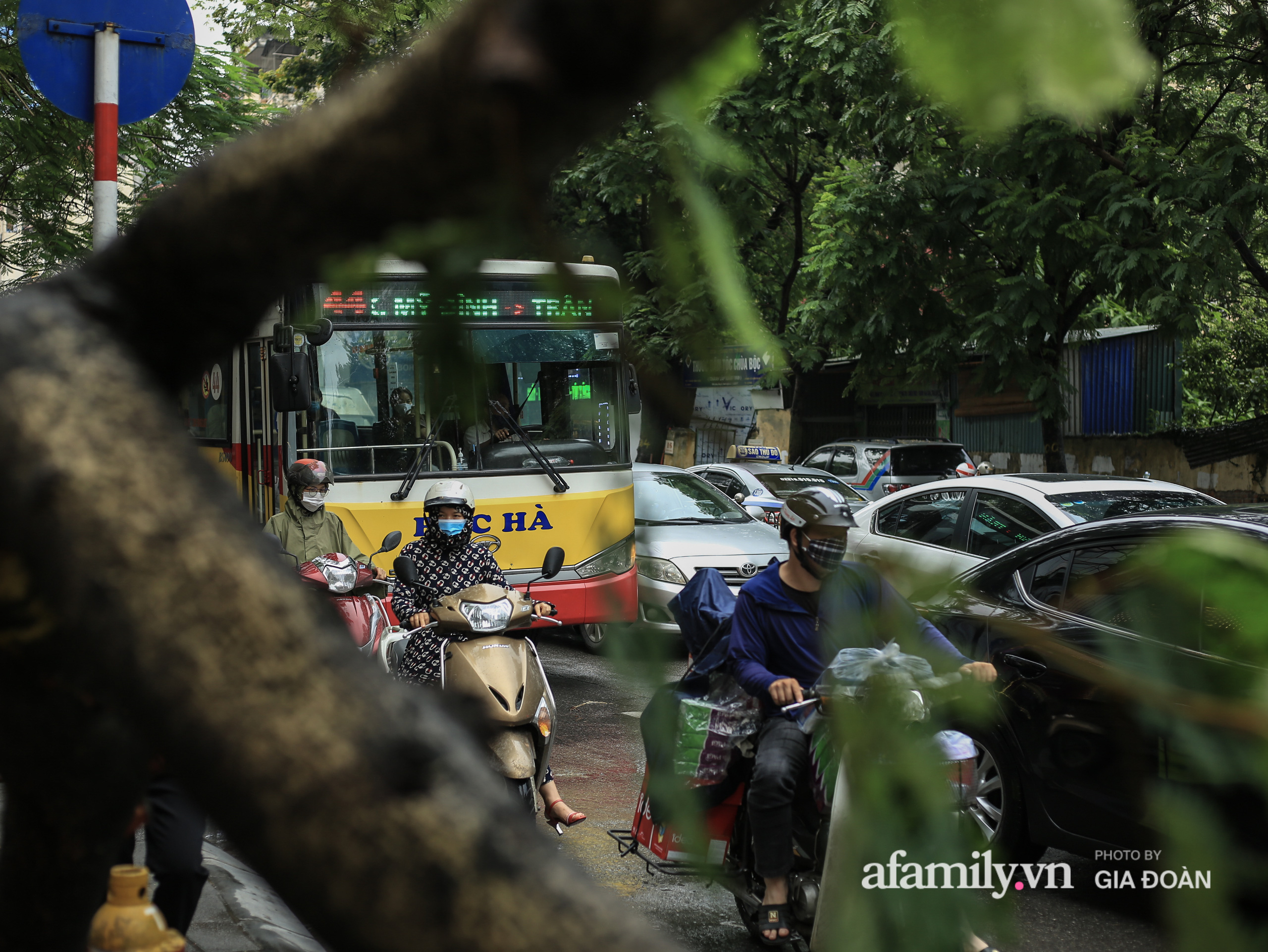 Hà Nội: Cây đổ trên phố Chùa Bộc sau trận mưa lớn - Ảnh 14.