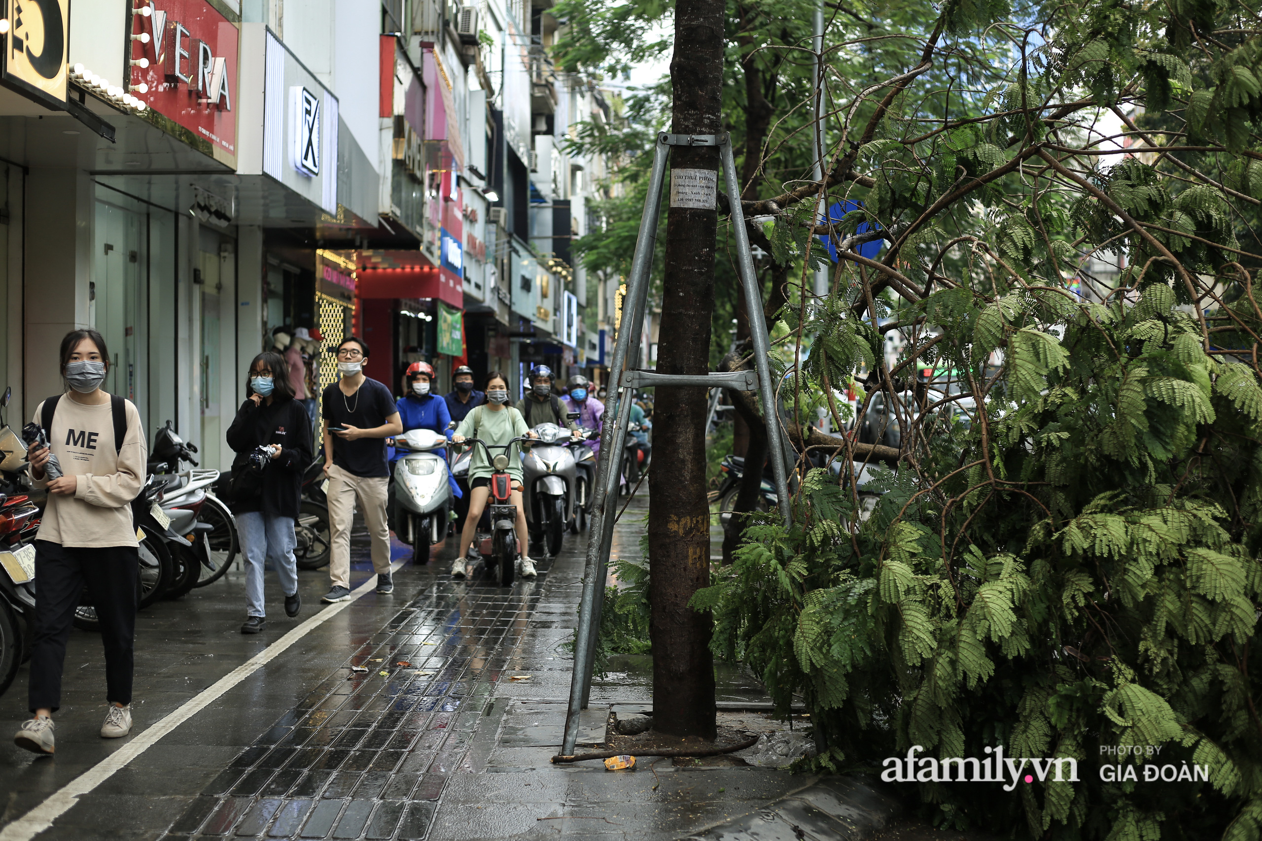 Hà Nội: Cây đổ trên phố Chùa Bộc sau trận mưa lớn - Ảnh 17.