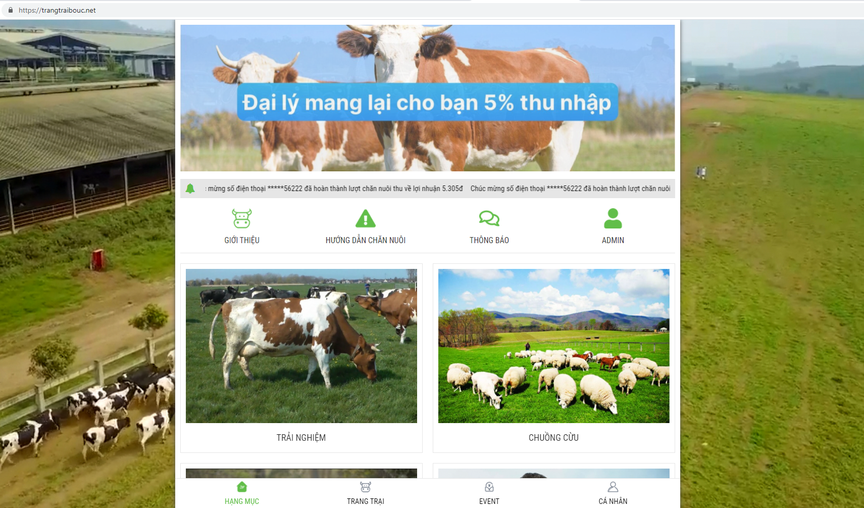 "Nuôi bò online" hàng ngàn người sập bẫy lừa đảo, mất trắng hàng trăm triệu đồng - Ảnh 1.