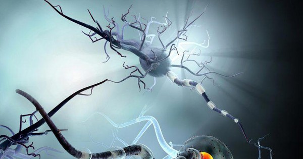 SARS-CoV-2 lọt vào não thế nào và các triệu chứng thần kinh khó hiểu - Ảnh 1.