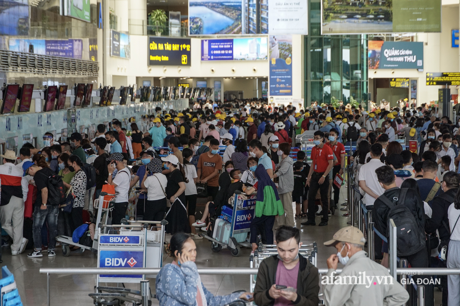 Hành khách xếp hàng dài chờ check-in tại sân bay Nội Bài - Ảnh 2.