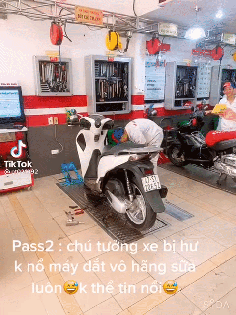 Hốt hoảng tưởng mất SH, cô gái ''cười ra nước mắt" khi tìm thấy ở nơi không ngờ, nhìn thủ phạm lại càng tấu hài hơn - Ảnh 2. Hốt hoảng tưởng mất SH, cô gái ''cười ra nước mắt" khi tìm thấy ở nơi không ngờ, nhìn thủ phạm lại càng tấu hài hơn - Ảnh 2.