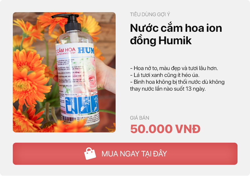 &quot;Nghe quảng cáo&quot; cô gái trẻ mua chai nước cắm hoa ion 250ml pha được hơn 25 lít nước mà xịt chăm hoa cả tháng, vừa tươi lại bền &quot;thôi rồi&quot; - Ảnh 7.