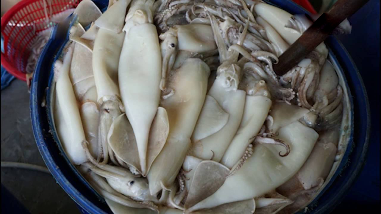 Chị em cần ghim ngay 3 c&aacute;ch ph&acirc;n biệt mực tươi với mực bị ng&acirc;m h&oacute;a chất nếu kh&ocirc;ng muốn rước bệnh v&agrave;o người! - Ảnh 4.