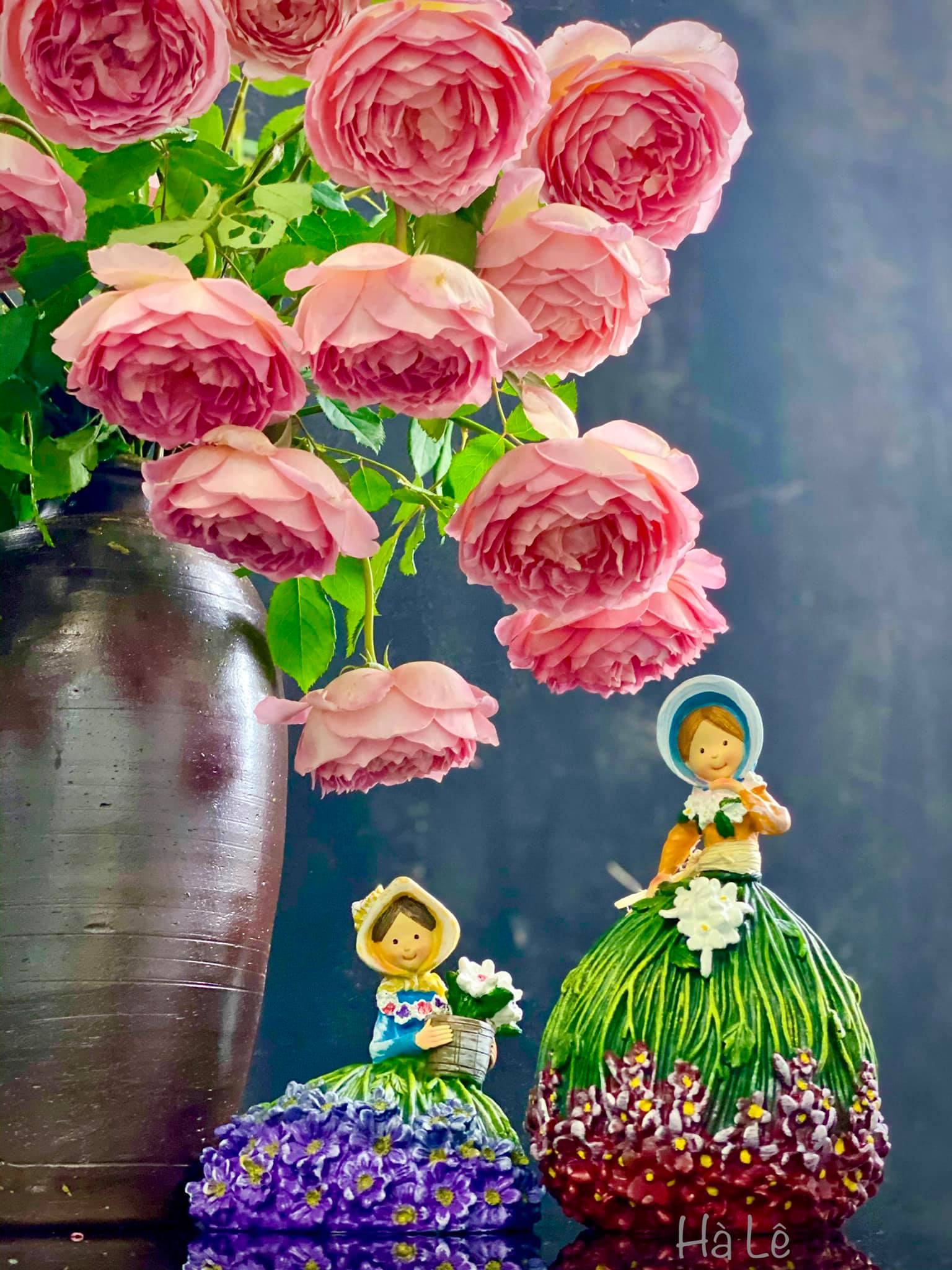 7 cách cắm hồng Jubilee vạn người mê và loại “nước thần” giúp hoa ...