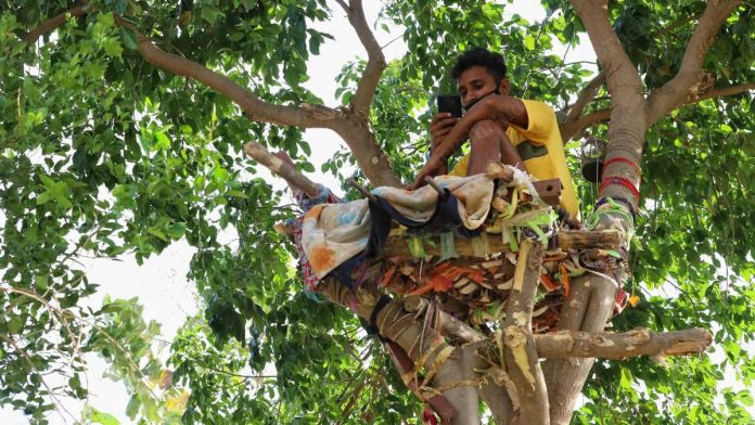 Thiếu hụt cơ sở y tế, chàng trai Ấn Độ trèo trên cây để cách ly sau khi biết mình nhiễm COVID-19 - Ảnh 1.