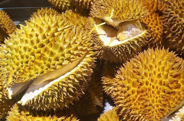 Durian is in season, ladies please pin these 5 tips to choose naturally ripe durian with large juicy flesh - Photo 3.