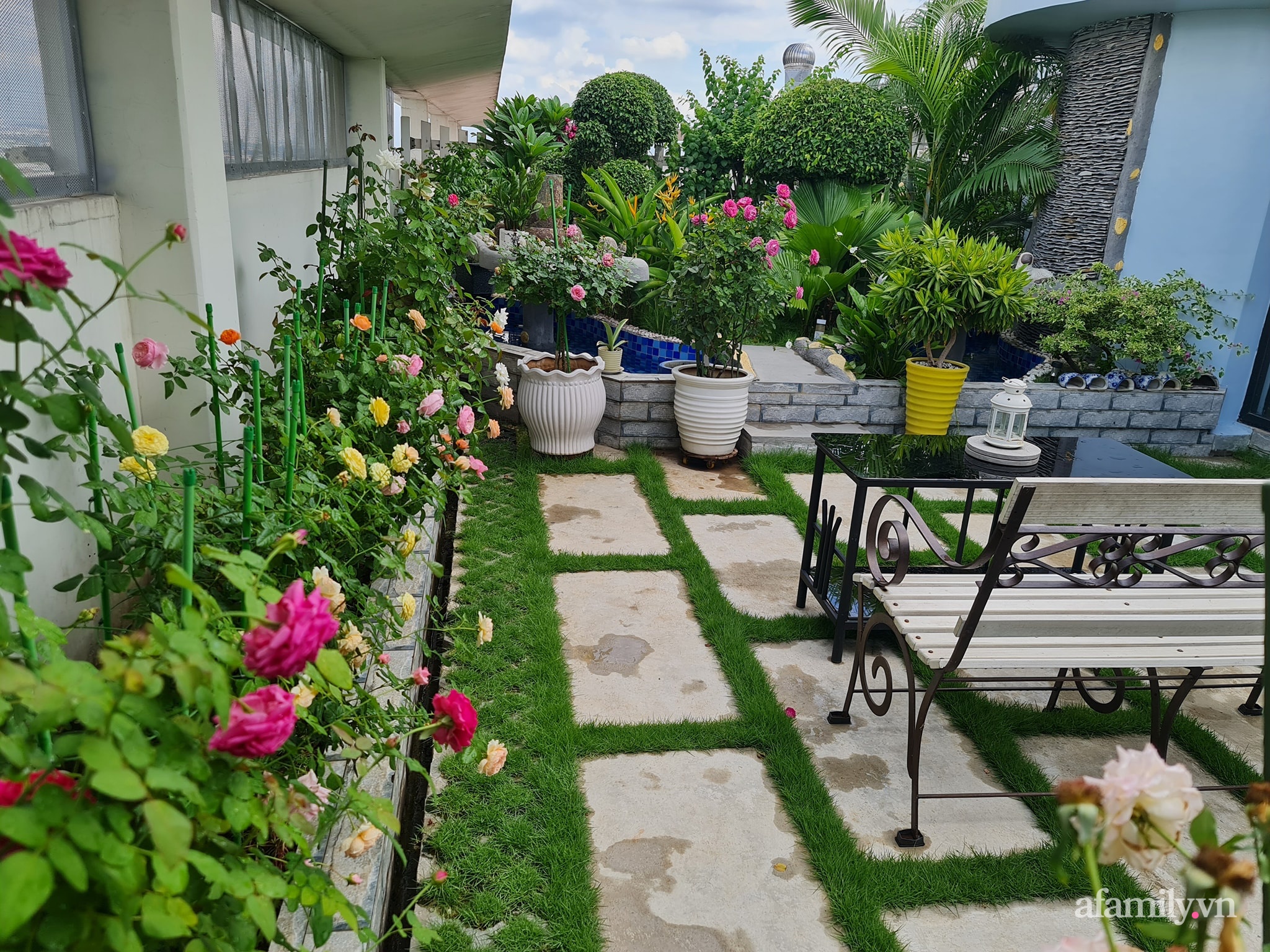 Đắm say trước vẻ đẹp ngọt lịm tim của vườn hồng rực rỡ trên sân thượng ở Bình Dương - Ảnh 4.