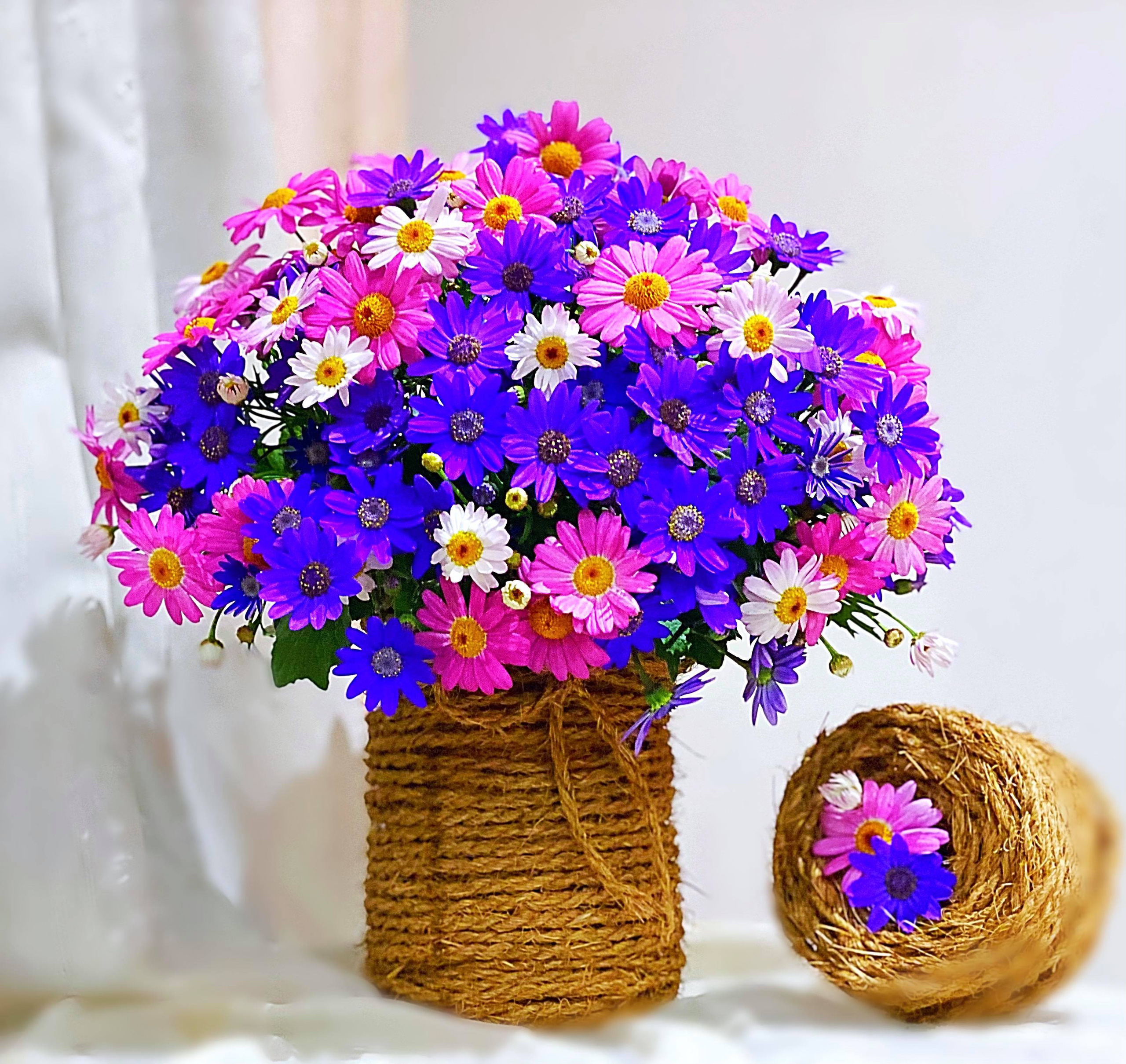 Bị "hớp hồn" bởi màu trắng tinh khôi của cúc dại, vợ đảm tại Úc thử tài với 1001 cách cắm hoa, tô điểm cho phòng khách trở nên thơ mộng lãng mạn - Ảnh 5.