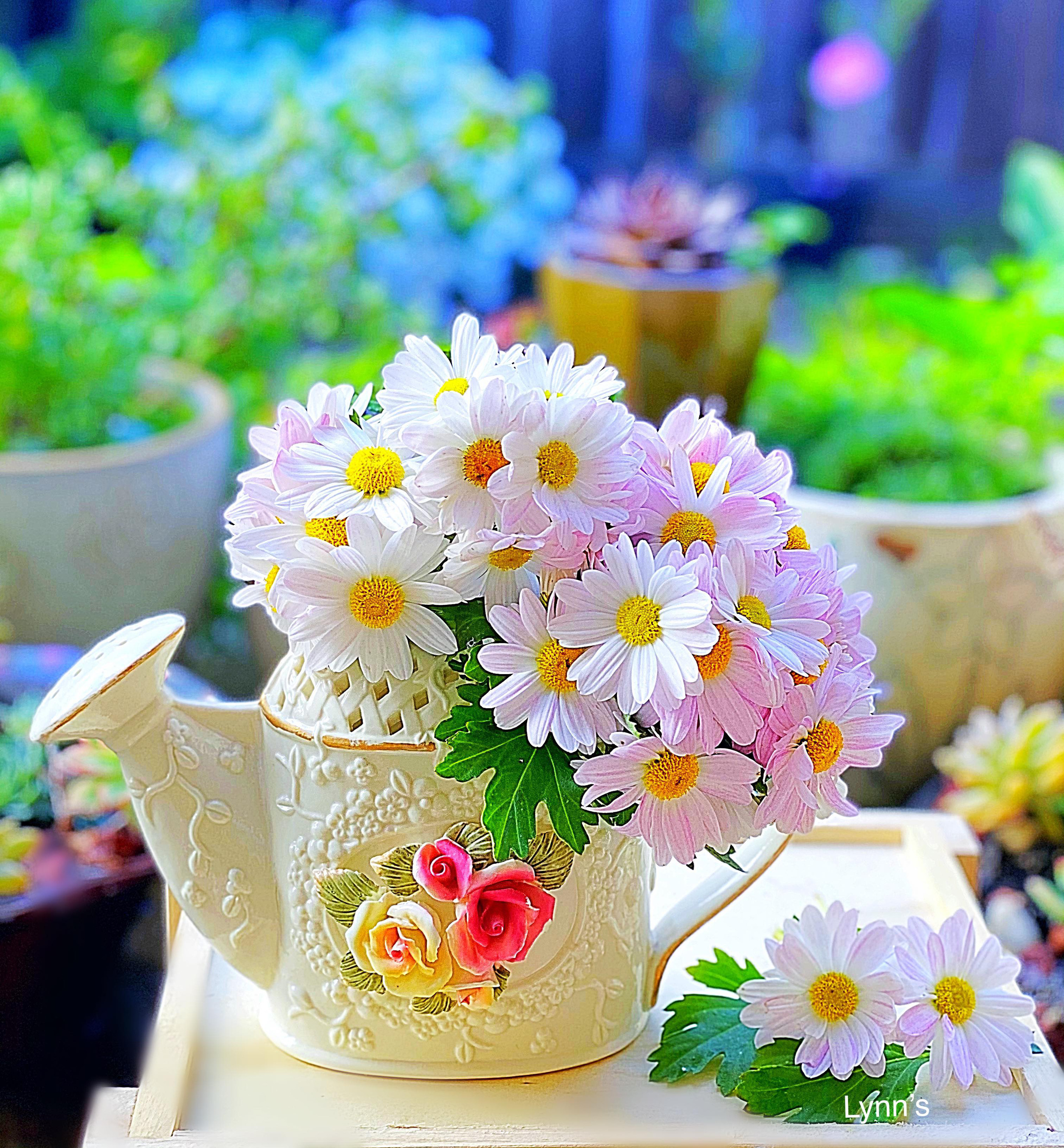 Bị "hớp hồn" bởi màu trắng tinh khôi của cúc dại, vợ đảm tại Úc thử tài với 1001 cách cắm hoa, tô điểm cho phòng khách trở nên thơ mộng lãng mạn - Ảnh 6.