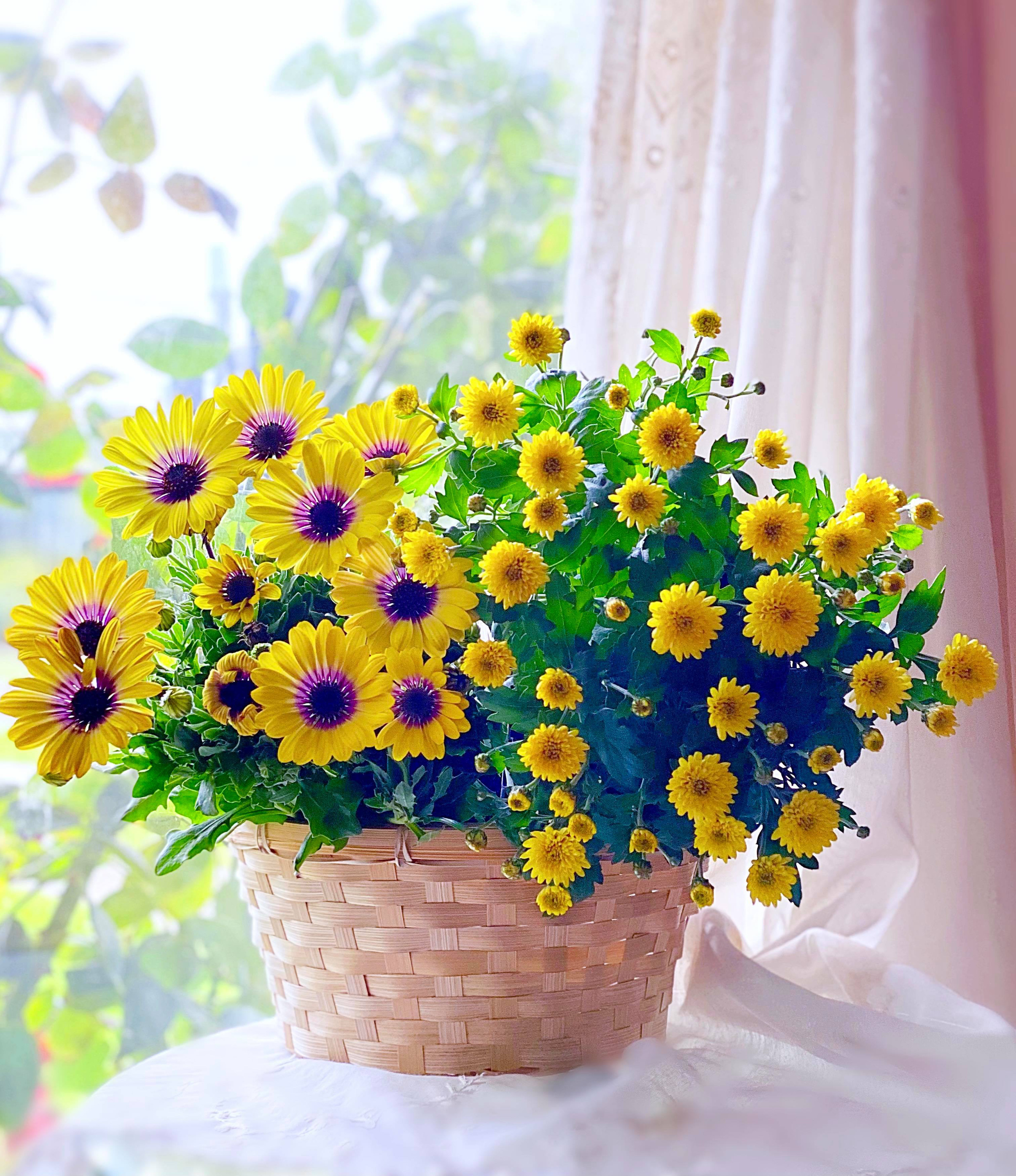 Bị "hớp hồn" bởi màu trắng tinh khôi của cúc dại, vợ đảm tại Úc thử tài với 1001 cách cắm hoa, tô điểm cho phòng khách trở nên thơ mộng lãng mạn - Ảnh 9.