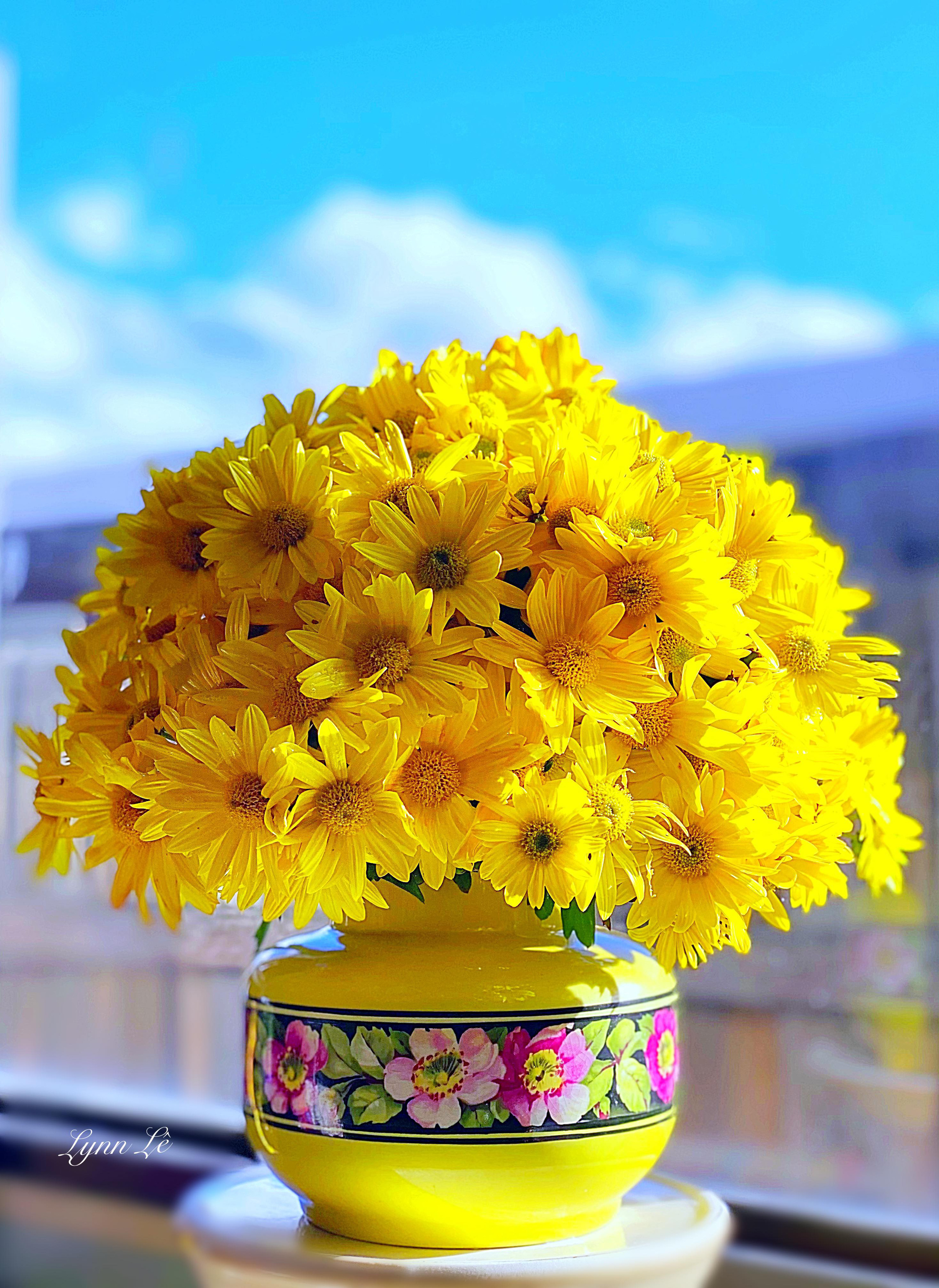 Bị "hớp hồn" bởi màu trắng tinh khôi của cúc dại, vợ đảm tại Úc thử tài với 1001 cách cắm hoa, tô điểm cho phòng khách trở nên thơ mộng lãng mạn - Ảnh 10.