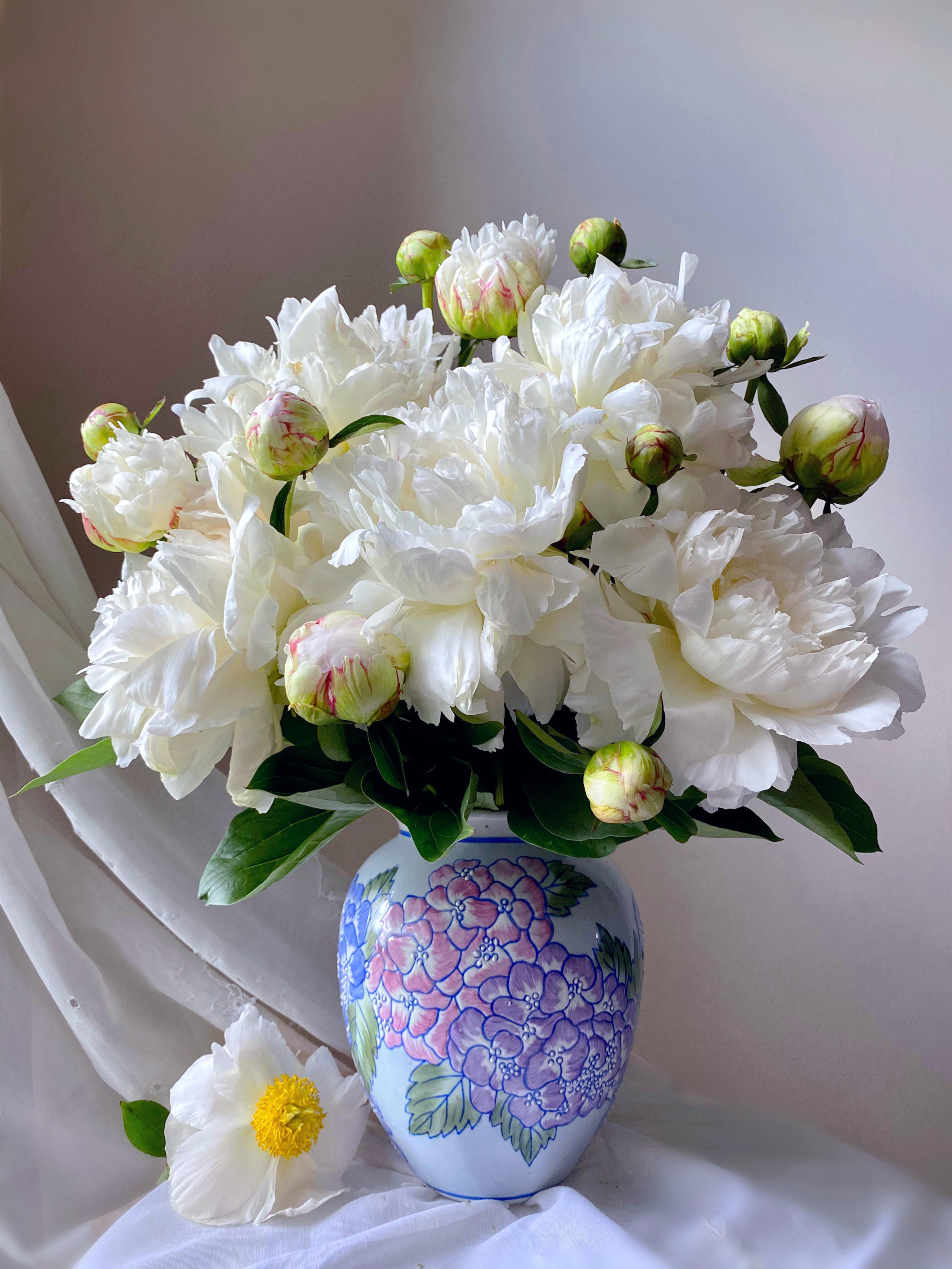 Bị "hớp hồn" bởi màu trắng tinh khôi của cúc dại, vợ đảm tại Úc thử tài với 1001 cách cắm hoa, tô điểm cho phòng khách trở nên thơ mộng lãng mạn - Ảnh 13.