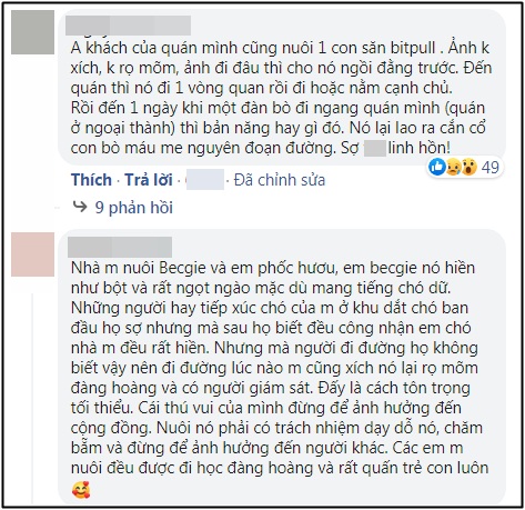 Giang Ơi phản ứng gay gắt “thật quá dễ dàng để kết tội một con chó” sau vụ việc Pitbull bị bắn chết vì cắn chết người - Ảnh 5.