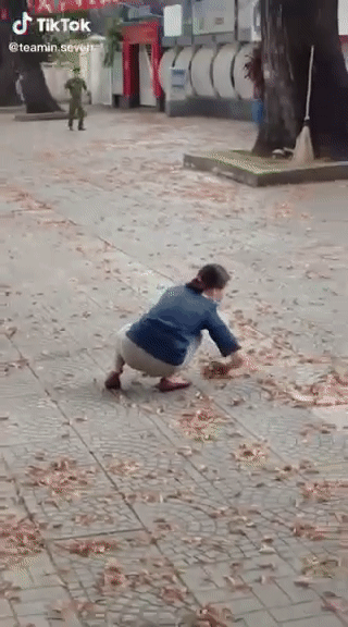 Khoảnh khắc cặp đôi Sài Gòn đang đi đường thì gặp hoa chò nâu gây bão mạng, chị vợ trở về tuổi thơ với trò tung hoa nhưng bất ngờ nhất là phản ứng của anh chồng - Ảnh 2. Khoảnh khắc cặp đôi Sài Gòn đang đi đường thì gặp hoa chò nâu gây bão mạng, chị vợ trở về tuổi thơ với trò tung hoa nhưng bất ngờ nhất là phản ứng của anh chồng - Ảnh 2.