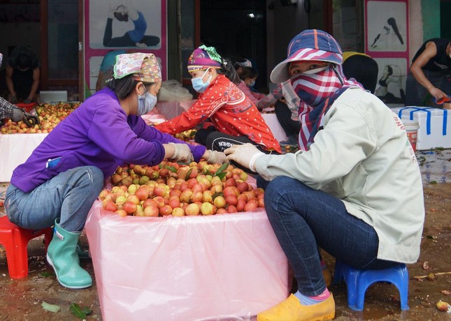 Tâm dịch Bắc Giang bắt đầu bước vào vụ vải thiều - Ảnh 6.