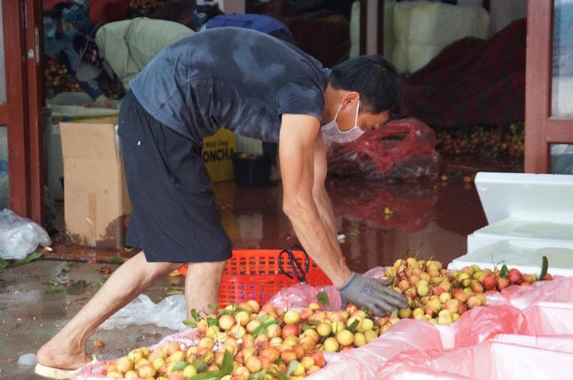 Tâm dịch Bắc Giang bắt đầu bước vào vụ vải thiều - Ảnh 3.