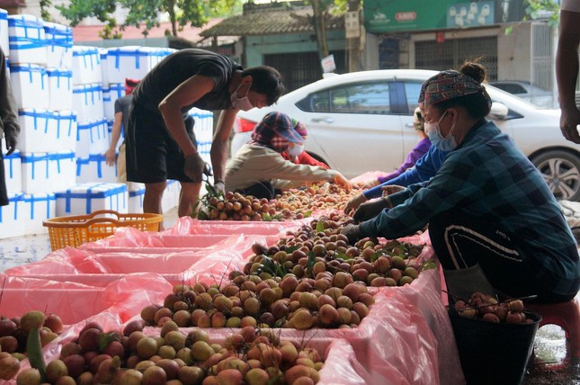 Tâm dịch Bắc Giang bắt đầu bước vào vụ vải thiều - Ảnh 10.