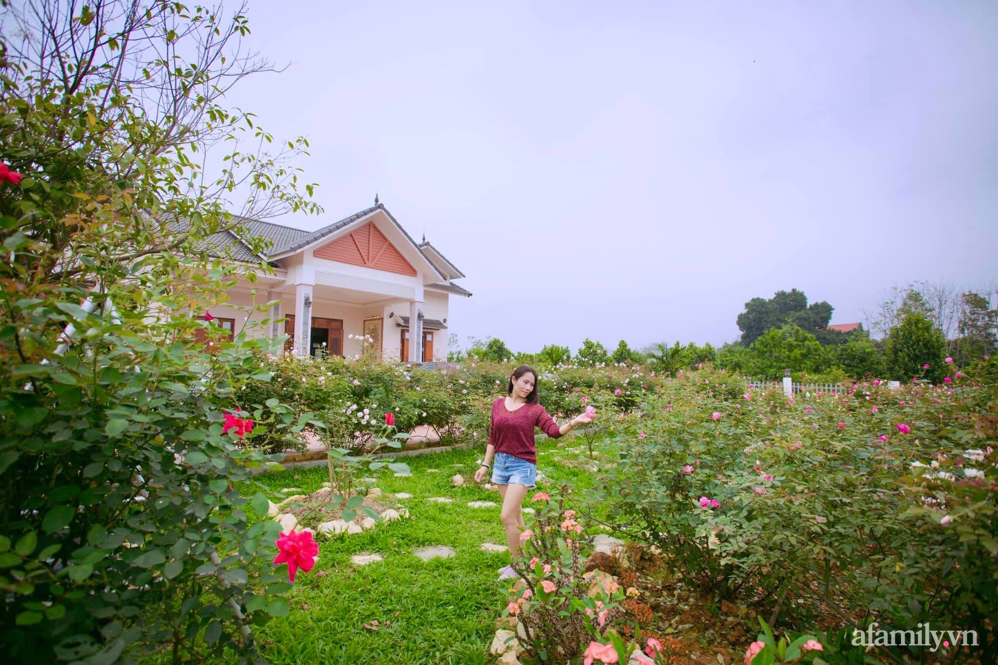 Cuộc sống an yên giữa đồi núi trong ngôi nhà hoa hồng quanh năm tỏa hương sắc của gia đình ở Ba Vì - Ảnh 2.