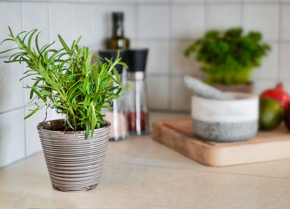 8 loại cây cảnh nên trồng trong nhà bếp vì lọc không khí và khử ...