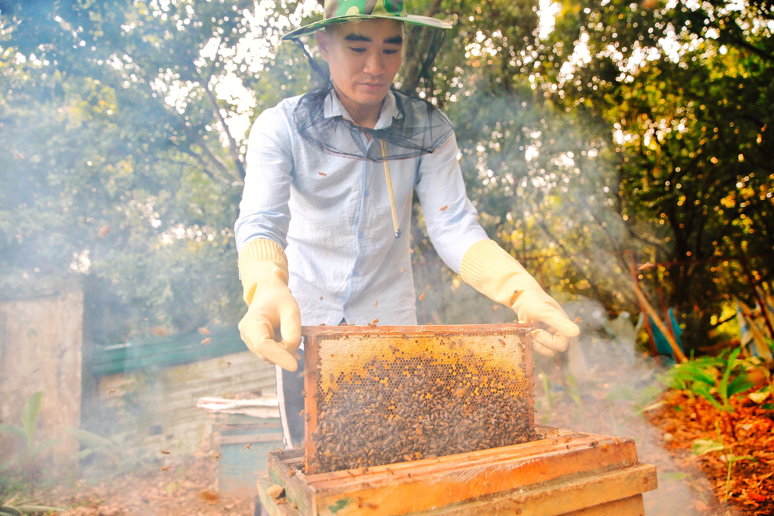 Đến &quot;thủ phủ mật ong&quot; giữa mùa thu hoạch, gặp người đàn ông đã dành cả tuổi xuân đảm nhiệm công việc giữ gìn đàn ong giống quốc gia - Ảnh 6.