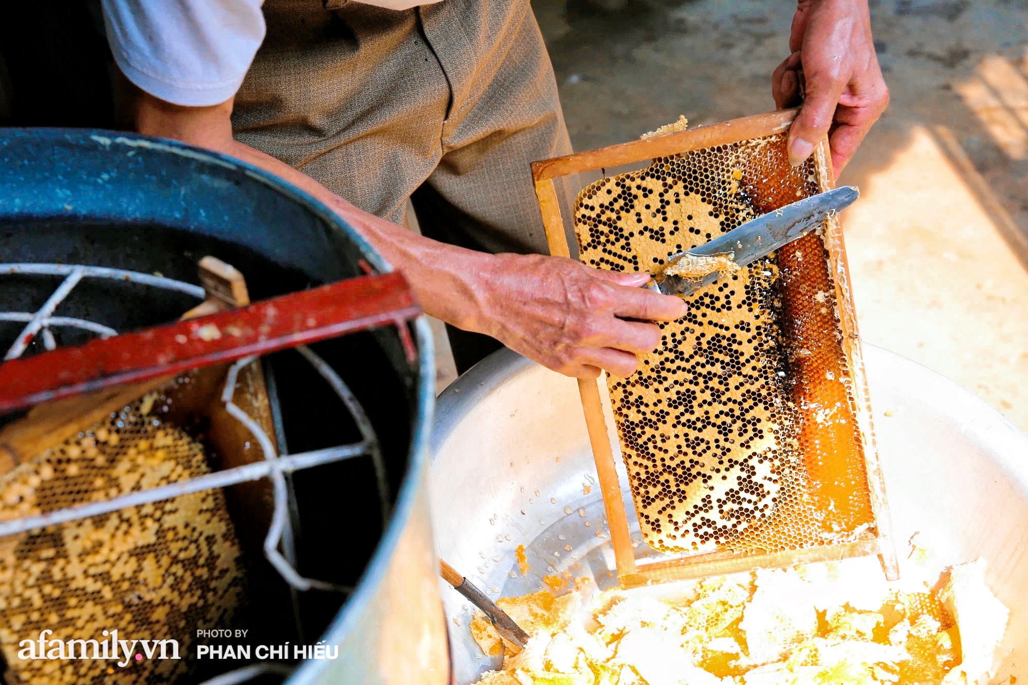 Đến &quot;thủ phủ mật ong&quot; giữa mùa thu hoạch, gặp người đàn ông đã dành cả tuổi xuân đảm nhiệm công việc giữ gìn đàn ong giống quốc gia - Ảnh 11.