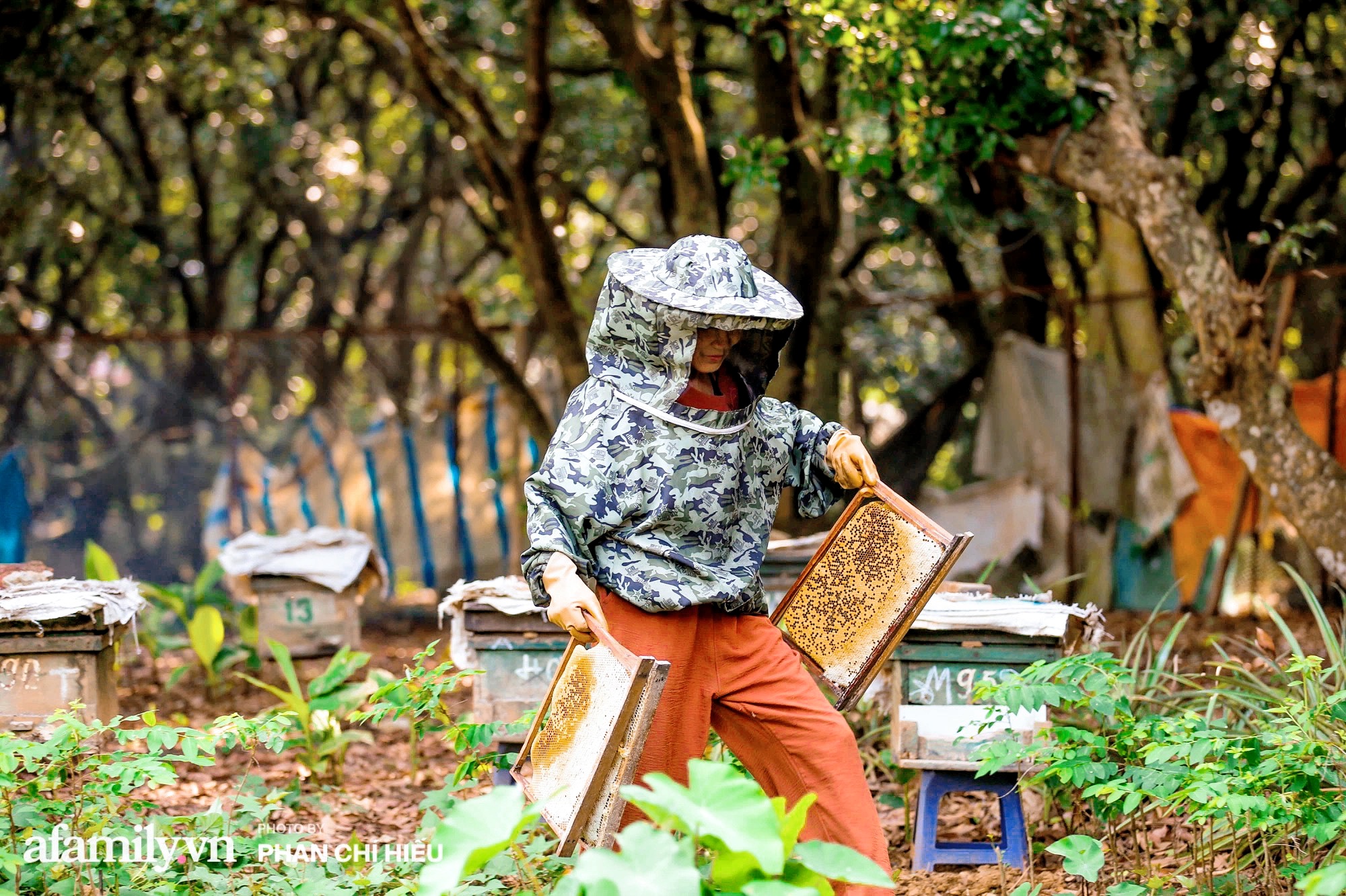 Đến &quot;thủ phủ mật ong&quot; giữa mùa thu hoạch, gặp người đàn ông đã dành cả tuổi xuân đảm nhiệm công việc giữ gìn đàn ong giống quốc gia - Ảnh 8.