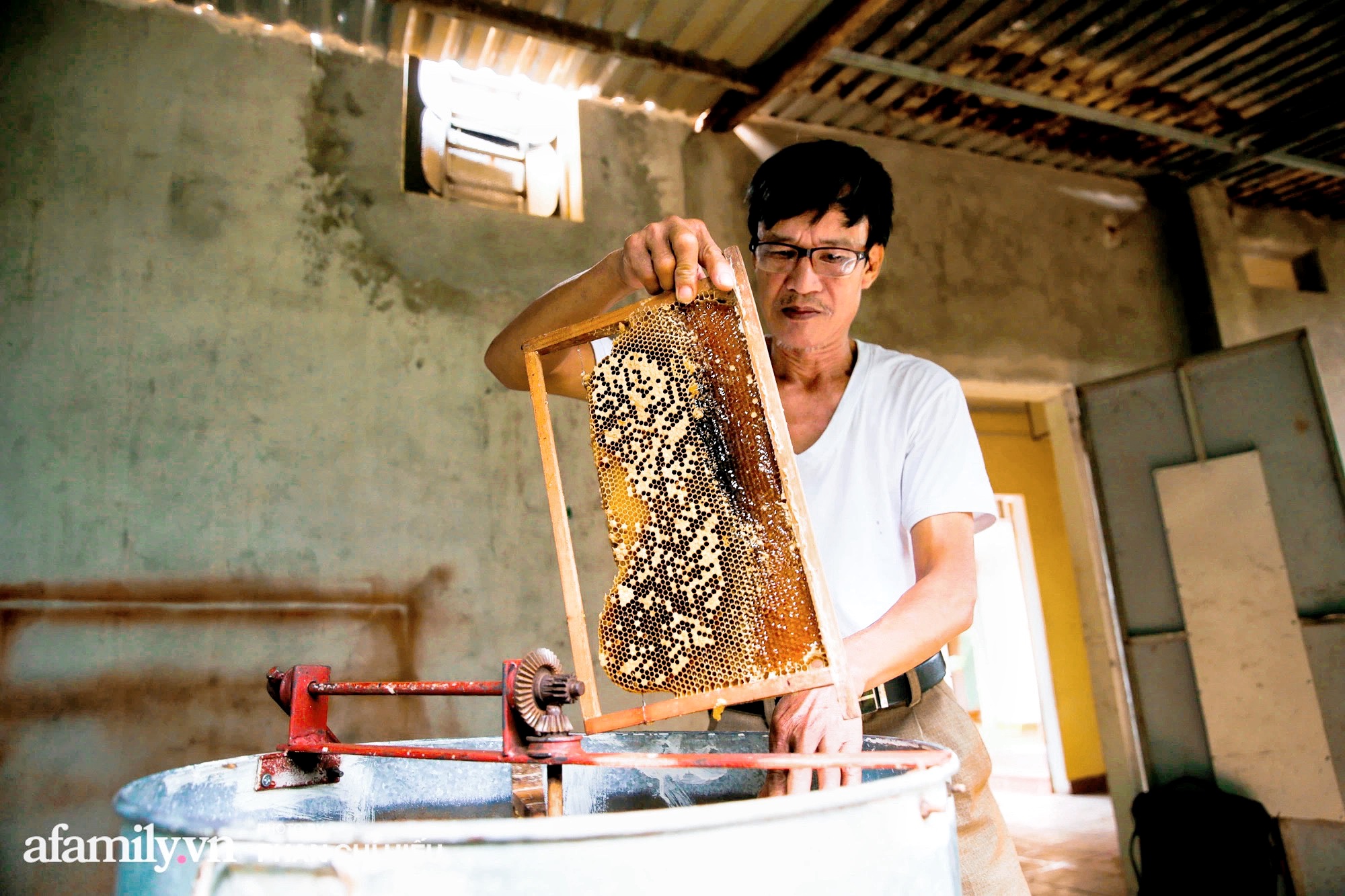 Đến &quot;thủ phủ mật ong&quot; giữa mùa thu hoạch, gặp người đàn ông đã dành cả tuổi xuân đảm nhiệm công việc giữ gìn đàn ong giống quốc gia - Ảnh 4.