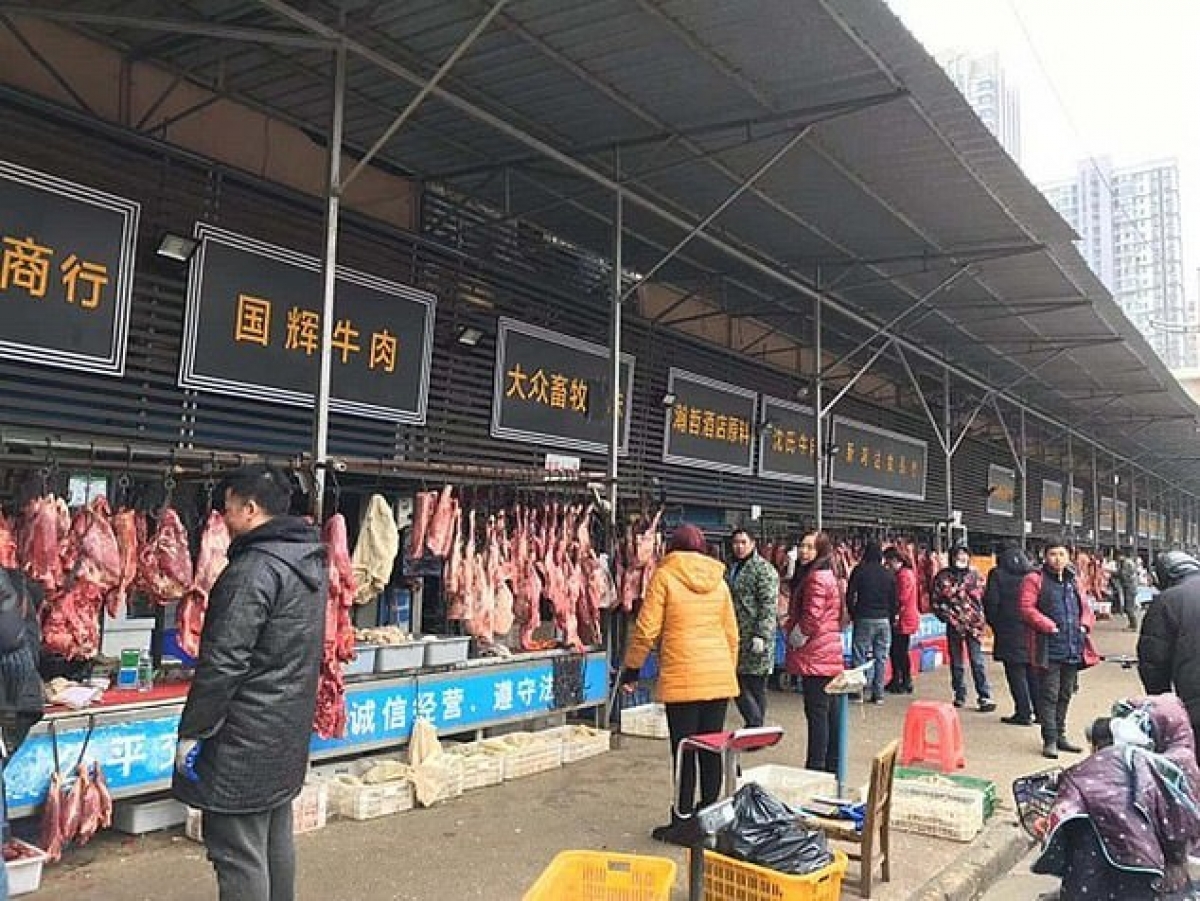 Phát hiện 47.000 động vật hoang dã bán ở chợ Vũ Hán trước khi Covid-19 bùng phát - Ảnh 1.