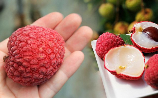 Ai cũng muốn ăn vải thiều ngon rẻ, chính vụ nhưng nếu bạn thuộc nhóm đối tượng sau cần lưu ý - Ảnh 1. Ai cũng muốn ăn vải thiều ngon rẻ, chính vụ nhưng nếu bạn thuộc nhóm đối tượng sau cần lưu ý - Ảnh 1.