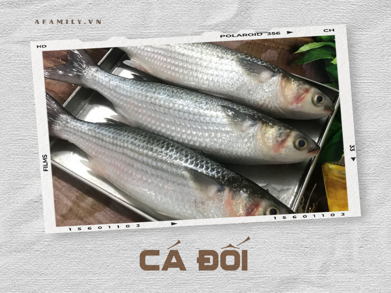 Cẩm nang về các loài cá và cách chế biến siêu ngon giúp chị em tự tin chẳng sợ mẹ chồng chê cười điều gì! - Ảnh 21. Cẩm nang về các loài cá và cách chế biến siêu ngon giúp chị em tự tin chẳng sợ mẹ chồng chê cười điều gì! - Ảnh 21.