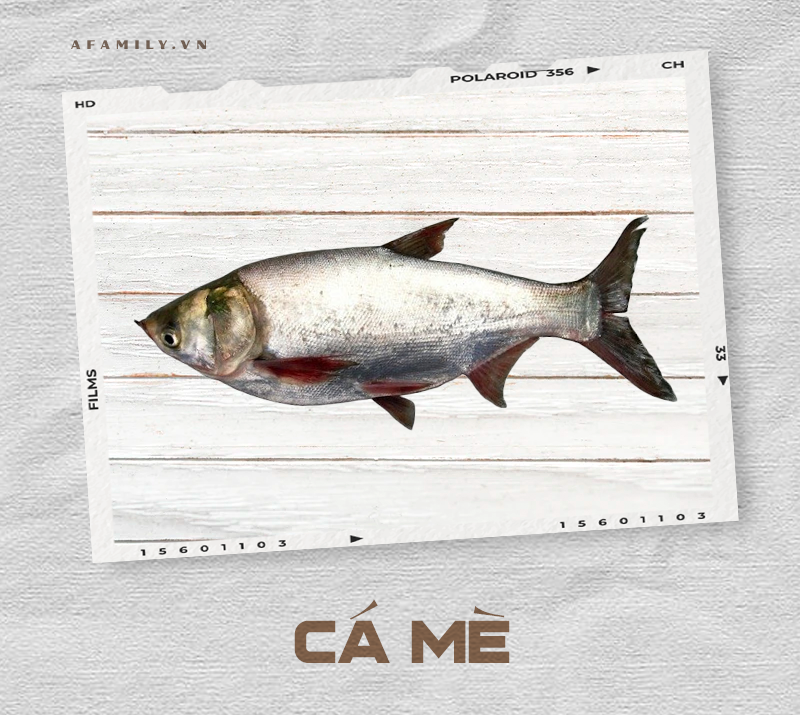 Cẩm nang về các loài cá và cách chế biến siêu ngon giúp chị em tự tin chẳng sợ mẹ chồng chê cười điều gì! - Ảnh 10. Cẩm nang về các loài cá và cách chế biến siêu ngon giúp chị em tự tin chẳng sợ mẹ chồng chê cười điều gì! - Ảnh 10.