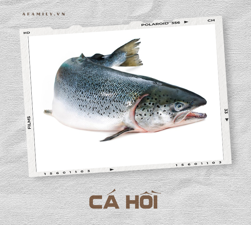 Cẩm nang về các loài cá và cách chế biến siêu ngon giúp chị em tự tin chẳng sợ mẹ chồng chê cười điều gì! - Ảnh 28. Cẩm nang về các loài cá và cách chế biến siêu ngon giúp chị em tự tin chẳng sợ mẹ chồng chê cười điều gì! - Ảnh 28.