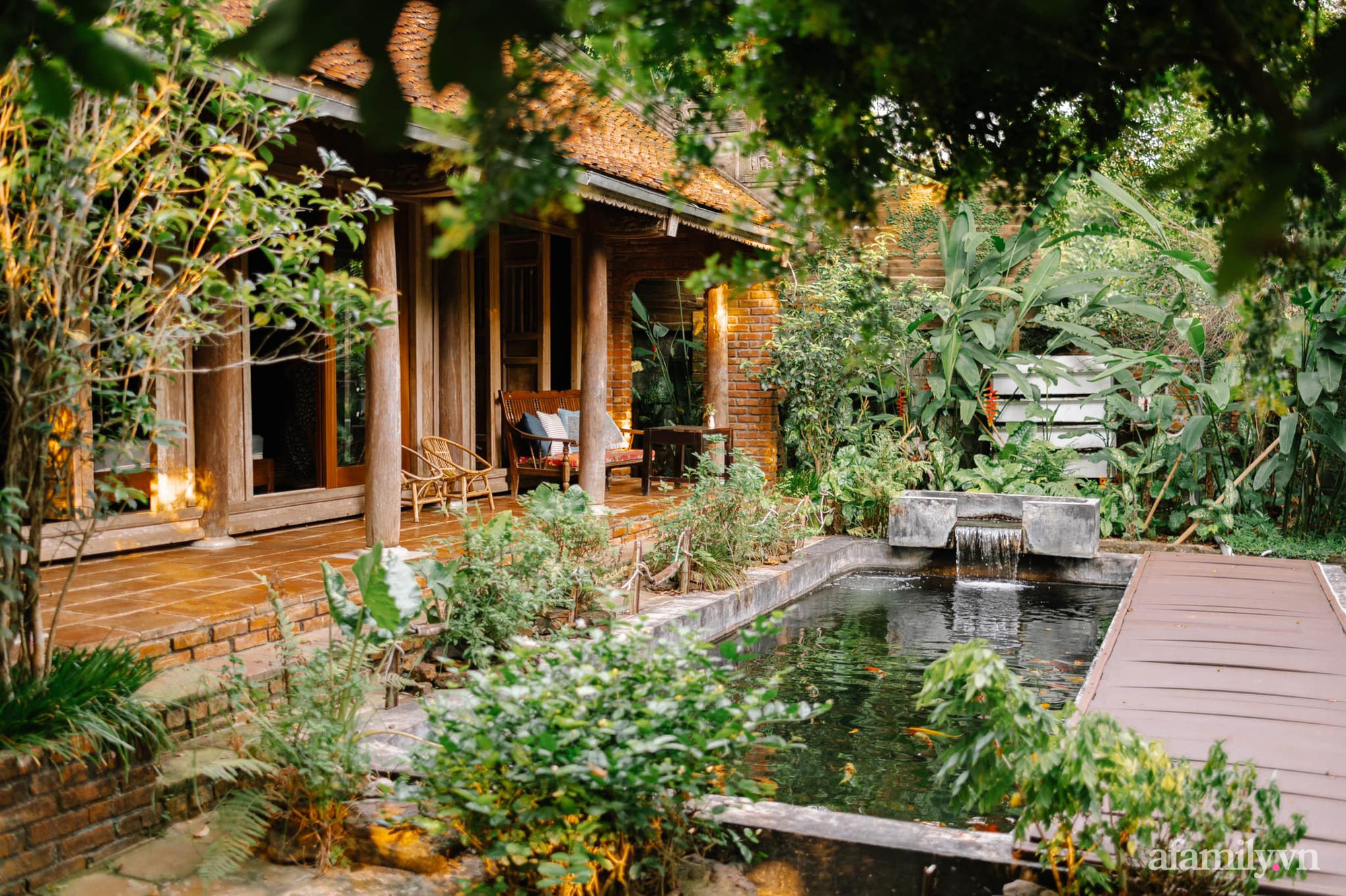 Cuộc sống yên bình trong ngôi nhà nhỏ cùng khu vườn xanh mát bóng cây ở ngoại thành Hà Nội - Ảnh 2.