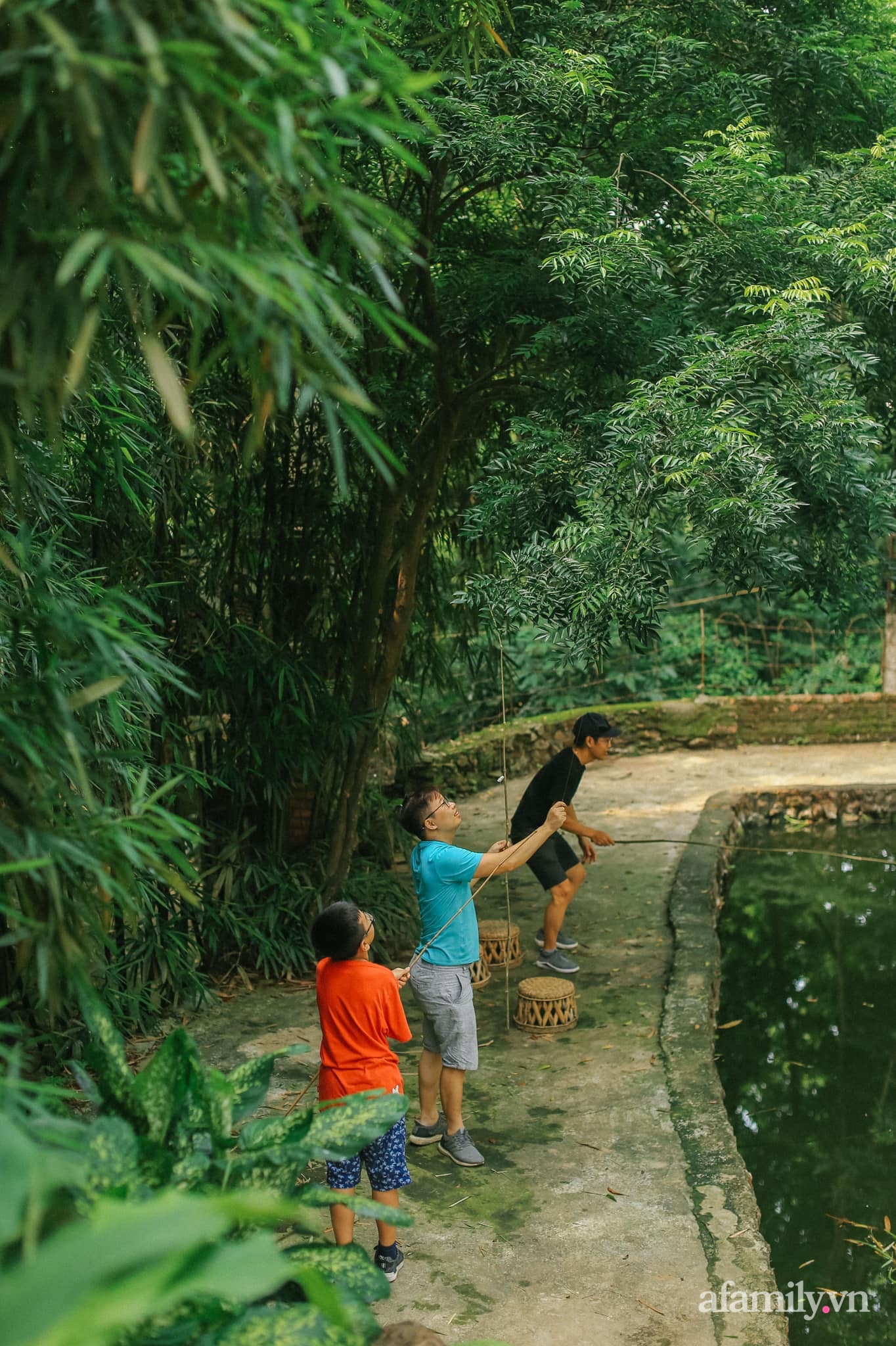 Cuộc sống yên bình trong ngôi nhà nhỏ cùng khu vườn xanh mát bóng cây ở ngoại thành Hà Nội - Ảnh 22.