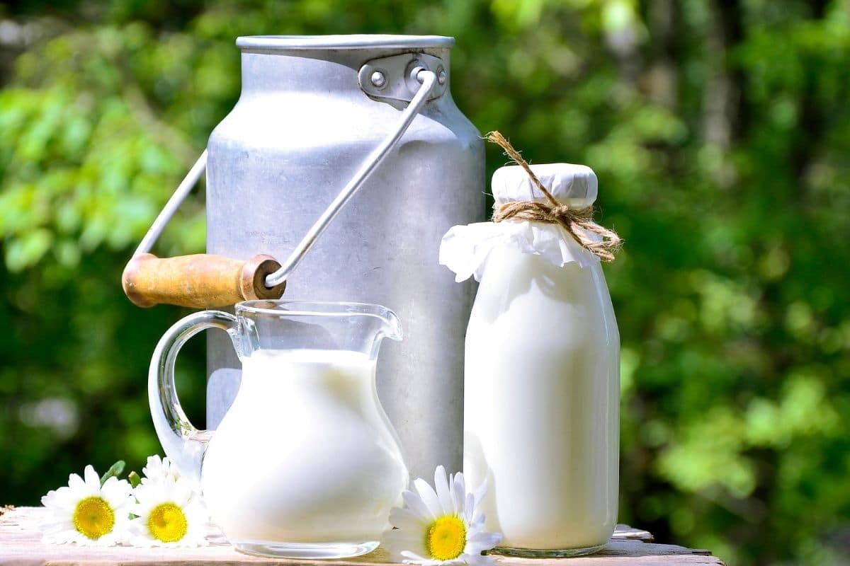 10 tuyệt chiêu dùng sữa chăm sóc khu vườn của bạn ít được biết đến - Ảnh 12.