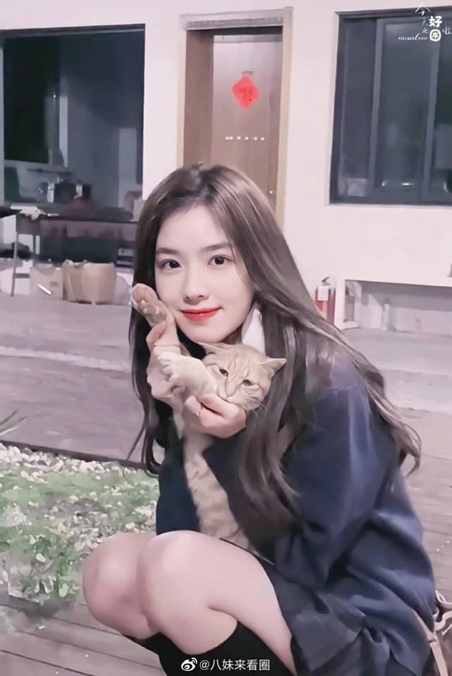 "Bản sao Triệu Lệ Dĩnh" lại bị netizen mỉa mai vì hành động "ké fame" từ drama tình cảm của Vương Tư Thông - Ảnh 2.