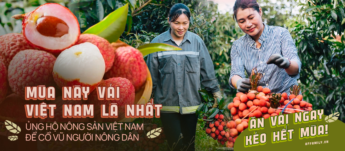 &quot;Nhờ&quot; COVID-19, vải thiều được &quot;ngồi&quot; siêu máy, tự tin nói không với 2 từ &quot;giải cứu&quot;, thể hiện bản lĩnh Việt ngay trong &quot;bão dịch&quot; - Ảnh 8.