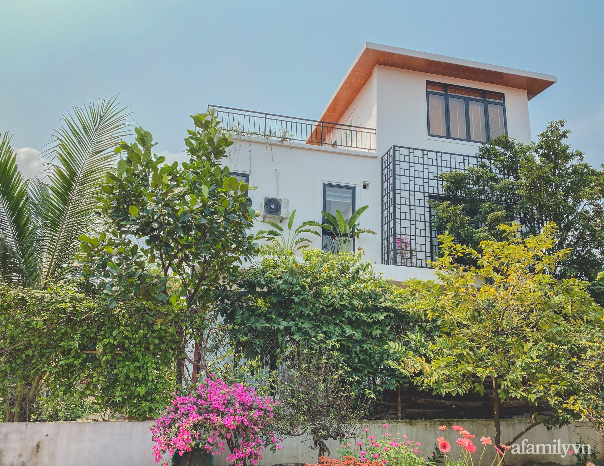 Căn nhà 90 m² đẹp bình yên, xanh mát bóng cây giữa làng cổ Đường Lâm, Hà Nội - Ảnh 1.