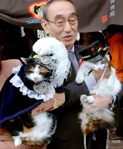 Chỉ nhờ một cô mèo hoang, công ty Nhật Bản lãi to 280 tỷ, thoát khỏi cảnh phá sản trong gang tấc - Ảnh 6.