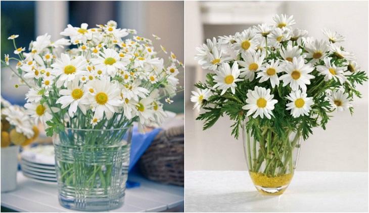 Giúp bạn cách chọn hoa phù hợp với mỗi không gian trong nhà - Ảnh 3.